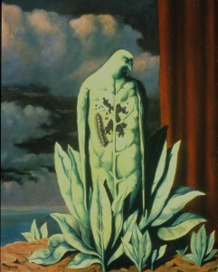 Magrittemed