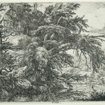 Ruisdael 300